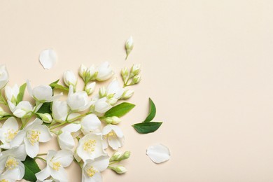 Photo of Flat lay composition with beautiful jasmine flowers on beige background. Space for text