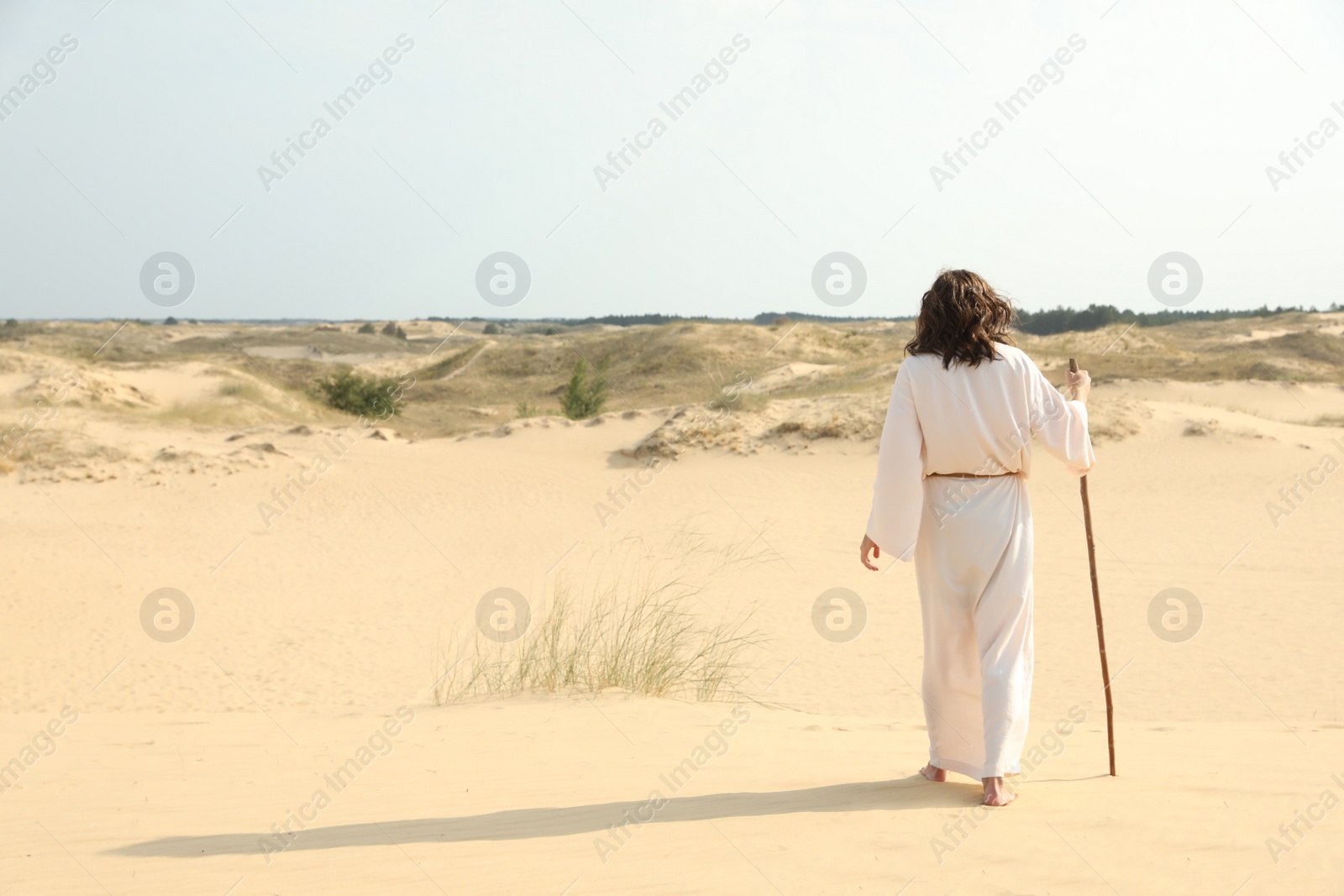 Photo of Jesus Christ walking with stick in desert, back view. Space for text