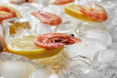 Photo of Fresh shrimps and lemon slices on ice cubes