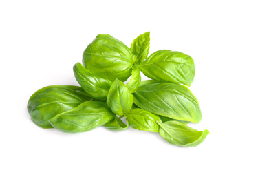 Photo of Fresh green basil leaves isolated on white