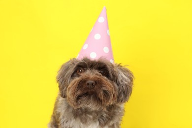 Photo of Cute Maltipoo dog wearing party hat on yellow background. Lovely pet