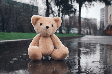 Lonely teddy bear in puddle on rainy day, space for text