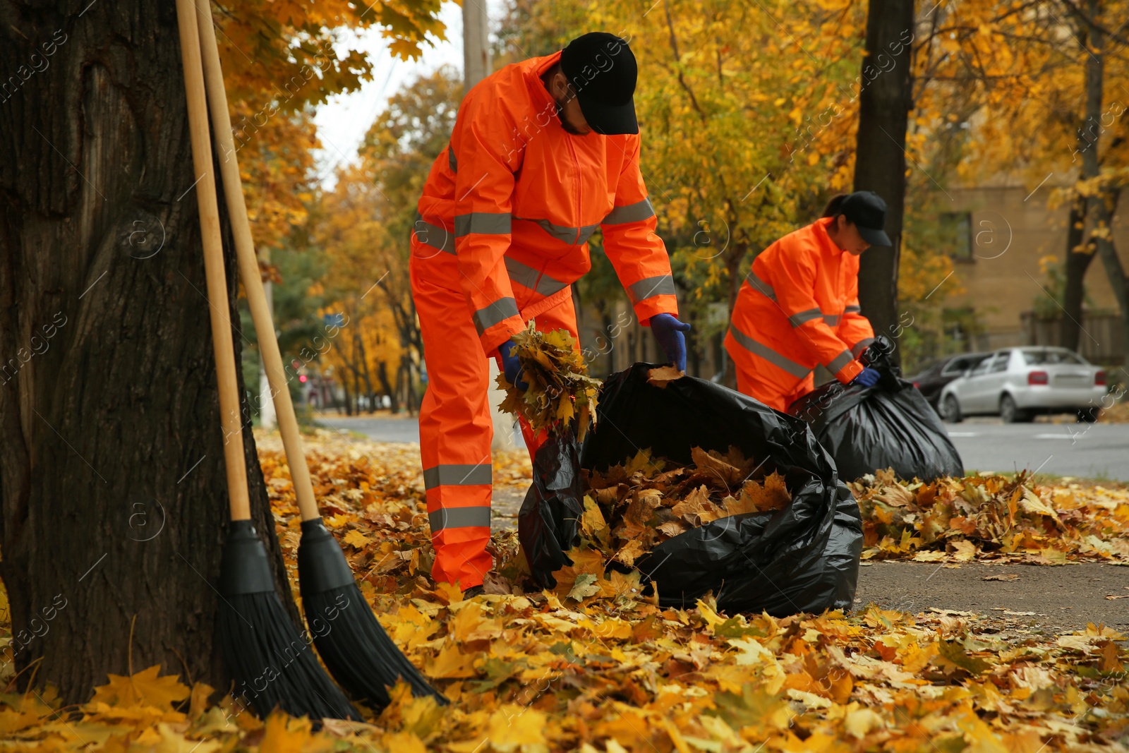 Photo of Workers cleaning street from fallen leaves on autumn day