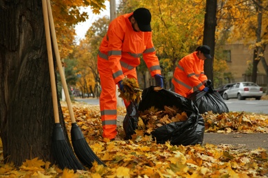 Photo of Workers cleaning street from fallen leaves on autumn day