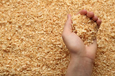 Photo of Woman holding dry natural sawdust, closeup view