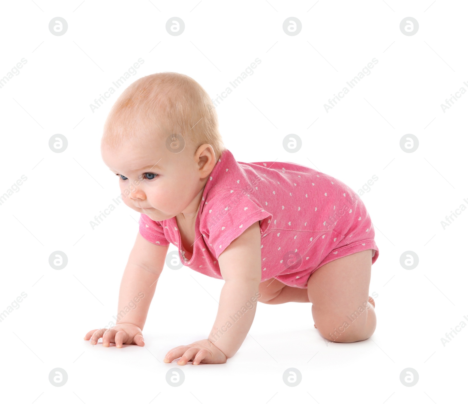 Photo of Cute little baby crawling on white background