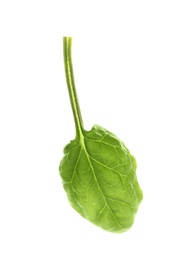 Photo of Fresh leaf of spinach isolated on white