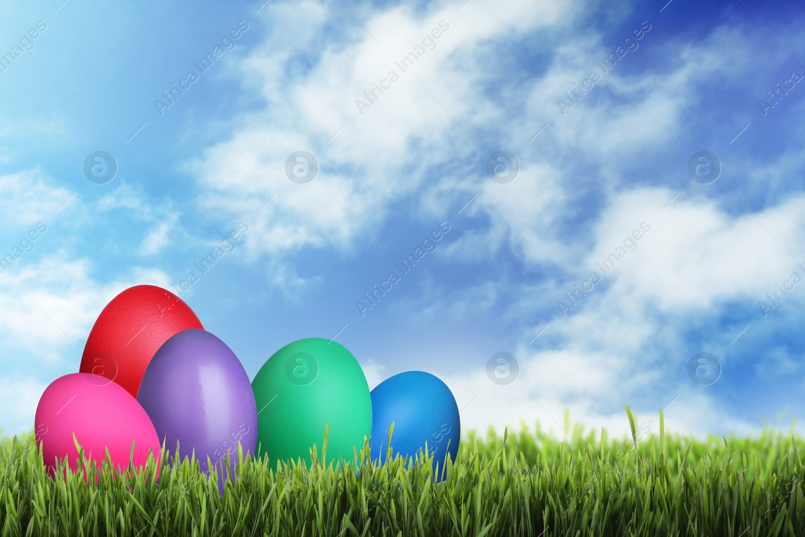 Image of Bright dyed Easter eggs on green grass outdoors, space for text 