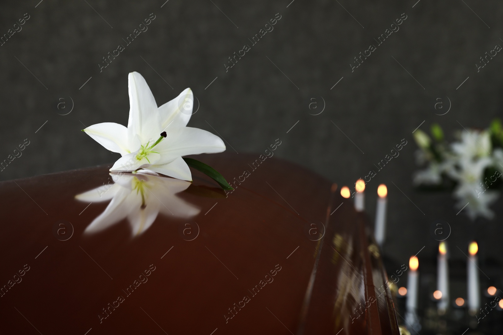 Photo of Wooden casket with white lily in funeral home, closeup. Space for text