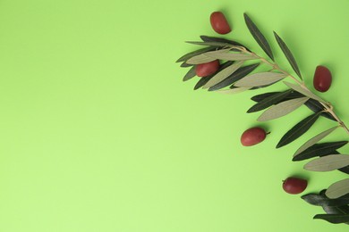 Fresh olives and leaves on light green background, flat lay. Space for text