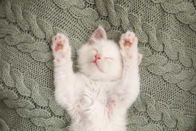 Photo of Cute white kitten sleeping on knitted plaid, top view. Baby animal