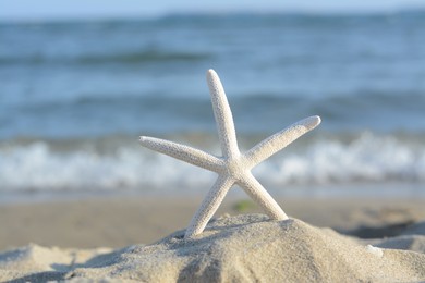 Photo of Beautiful starfish on sandy beach near sea, closeup