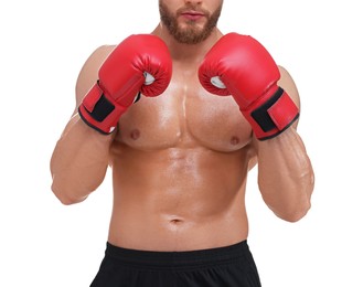 Man in boxing gloves on white background, closeup