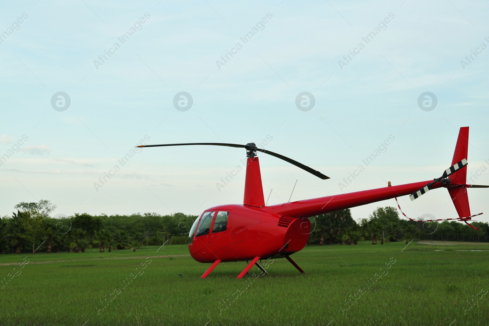 Photo of Modern red helicopter on green grass outdoors