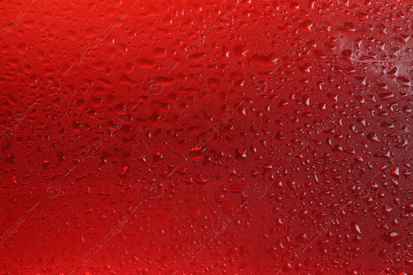 Photo of Glass of tasty cold beer with condensation drops as background, closeup