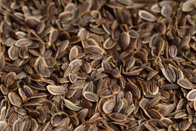 Many dry dill seeds as background, closeup