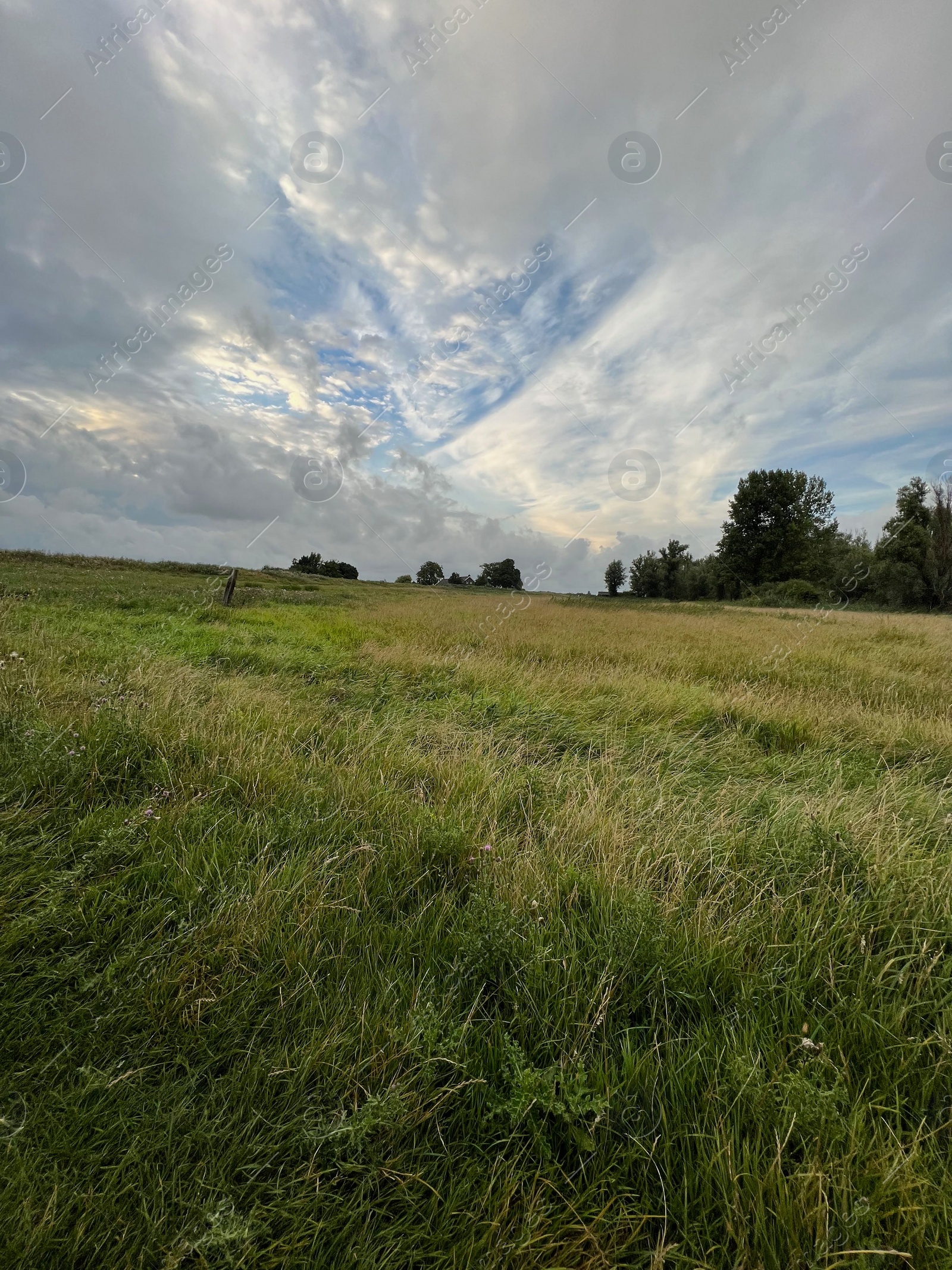 Photo of Picturesque view of green field and cloudy sky