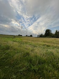 Picturesque view of green field and cloudy sky