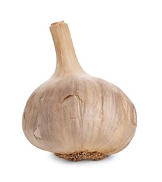 Photo of Bulb of fermented garlic isolated on white