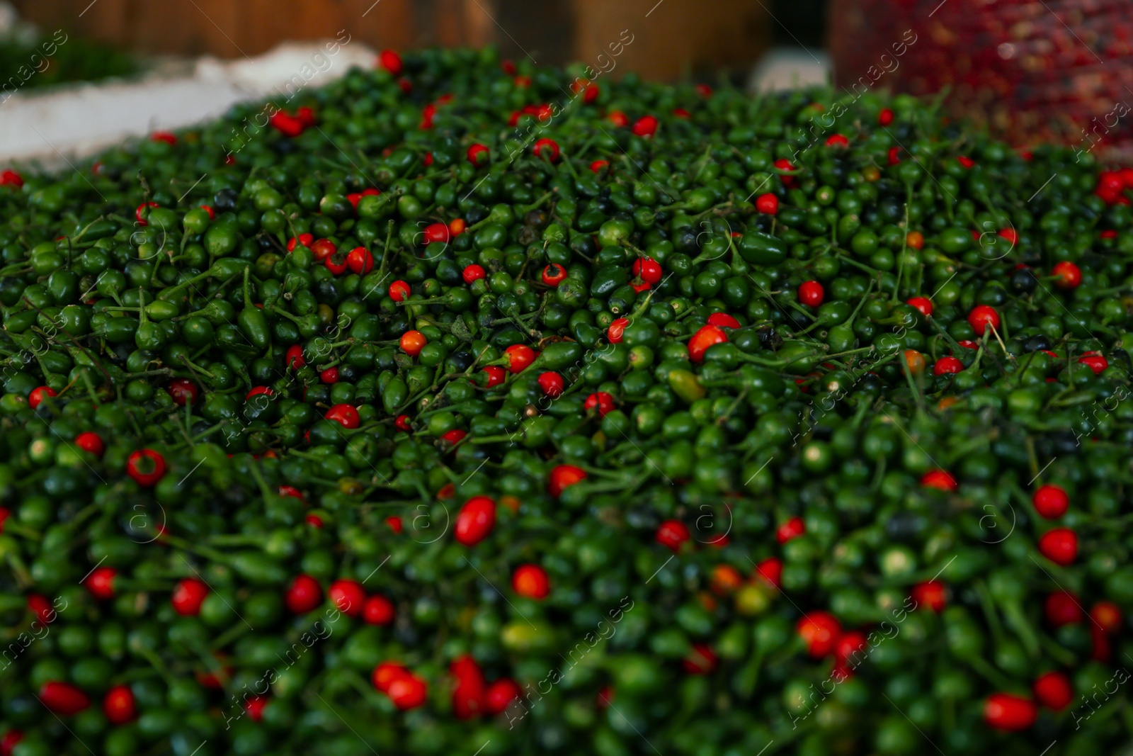 Photo of Heap of fresh delicious chiltepin on counter at market