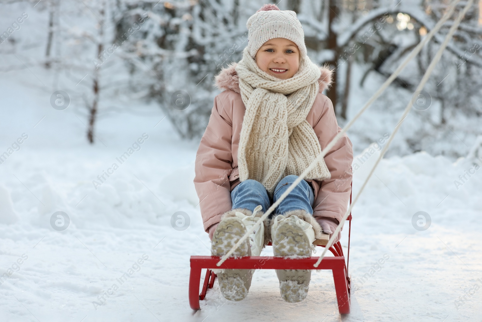 Photo of Cute little girl enjoying sledge ride through snow in winter park, space for text