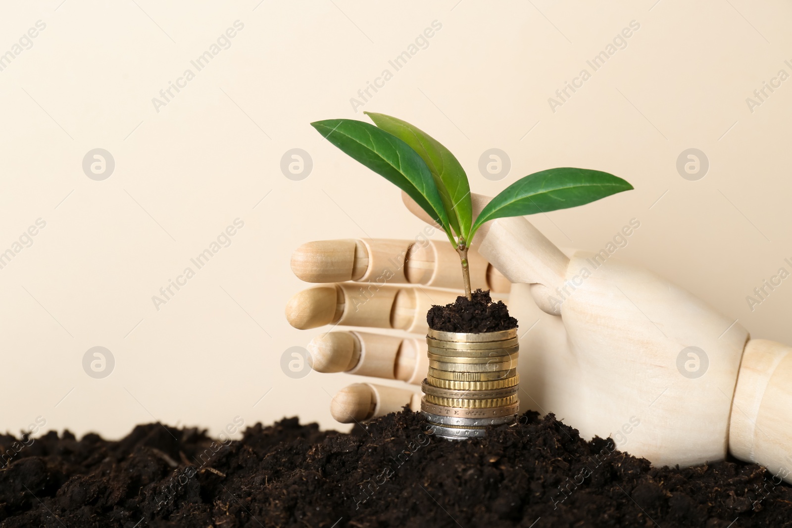 Photo of Stack of coins with green plant and wooden mannequin hand on soil against beige background, space for text. Profit concept