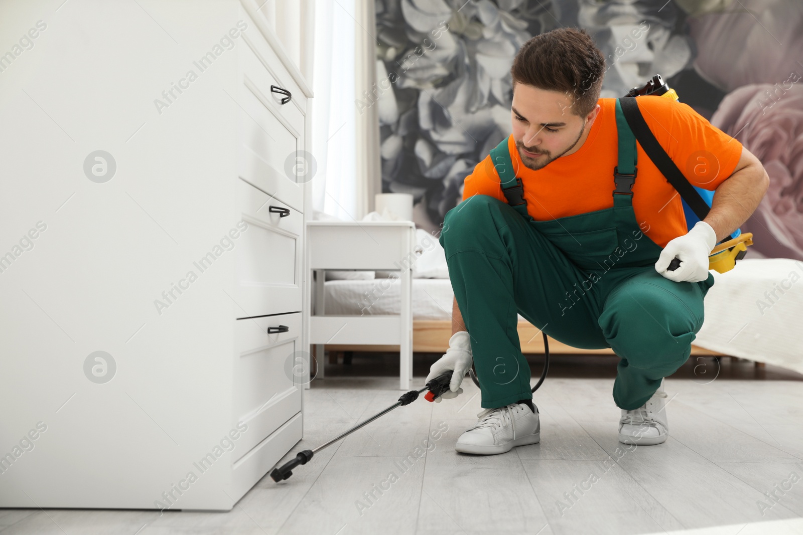 Photo of Pest control worker spraying insecticide near chest of drawers indoors