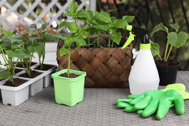 Photo of Vegetable seedlings growing in plastic containers with soil, spray bottle and rubber gloves on light gray table