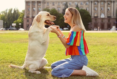 Cute yellow labrador retriever with owner outdoors