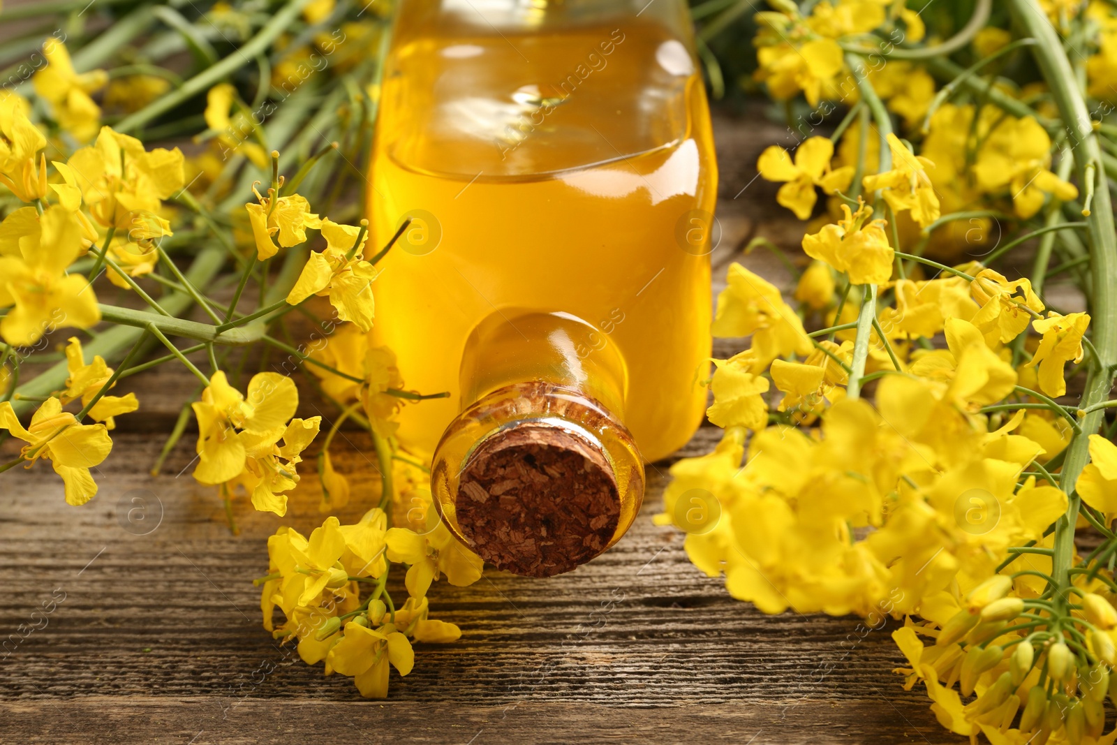 Photo of Rapeseed oil in glass bottle and beautiful yellow flowers on wooden table, closeup