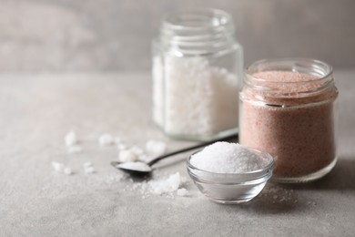 Photo of Different natural salt on grey textured table, space for text