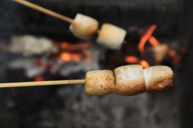 Delicious puffy marshmallows roasting over bonfire, closeup