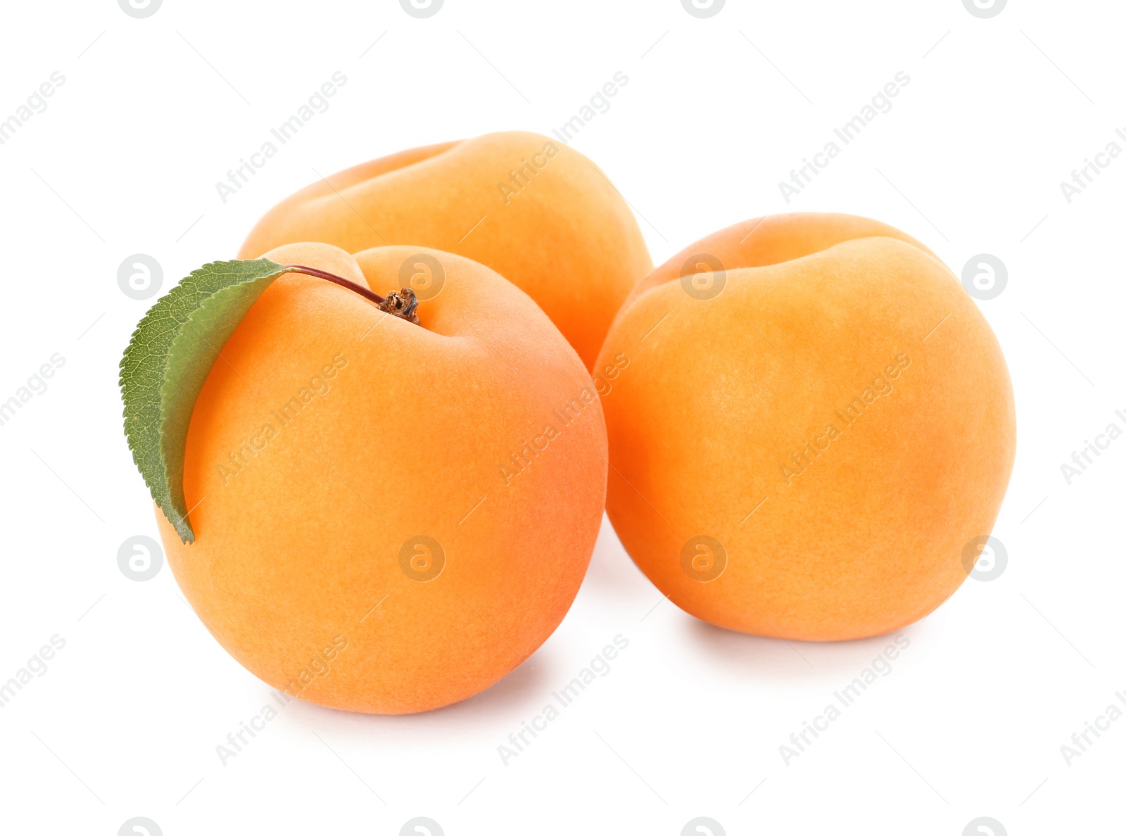 Photo of Delicious ripe sweet apricots isolated on white