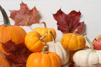 Photo of Thanksgiving day. Beautiful composition with pumpkins on white background, closeup