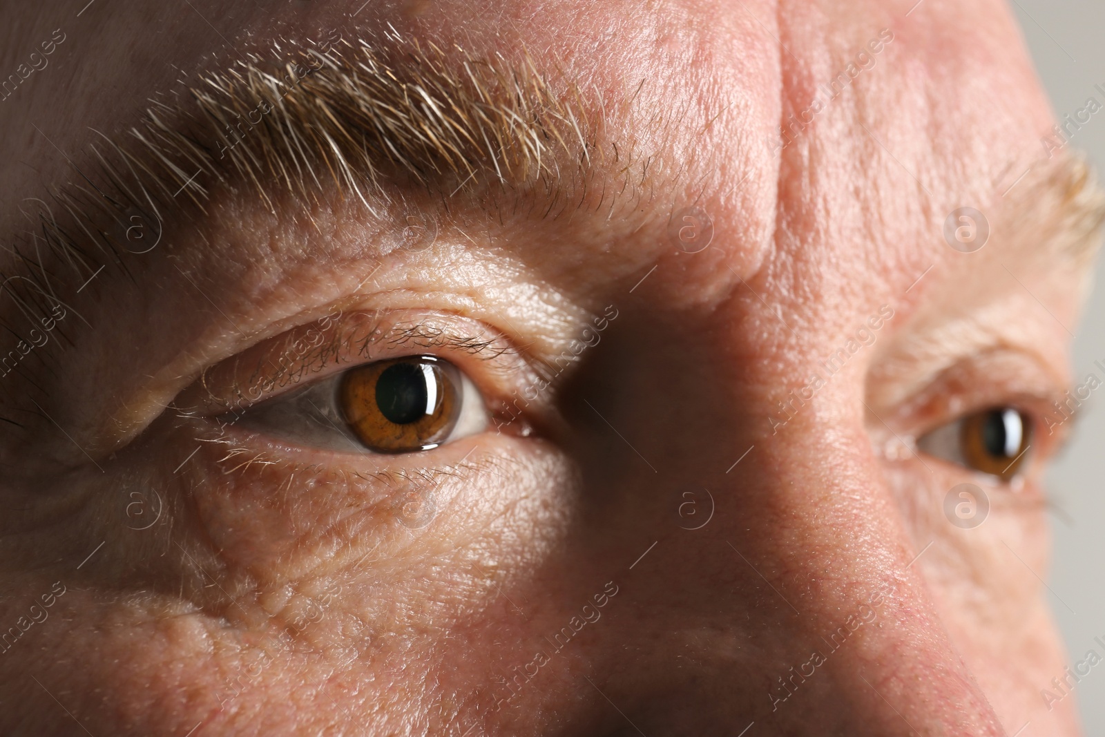 Photo of Wrinkled face of elderly man, closeup of eyes