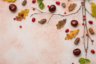 Composition with autumn dry leaves, acorns, chestnuts, branch and red berries on color background, flat lay. Space for text