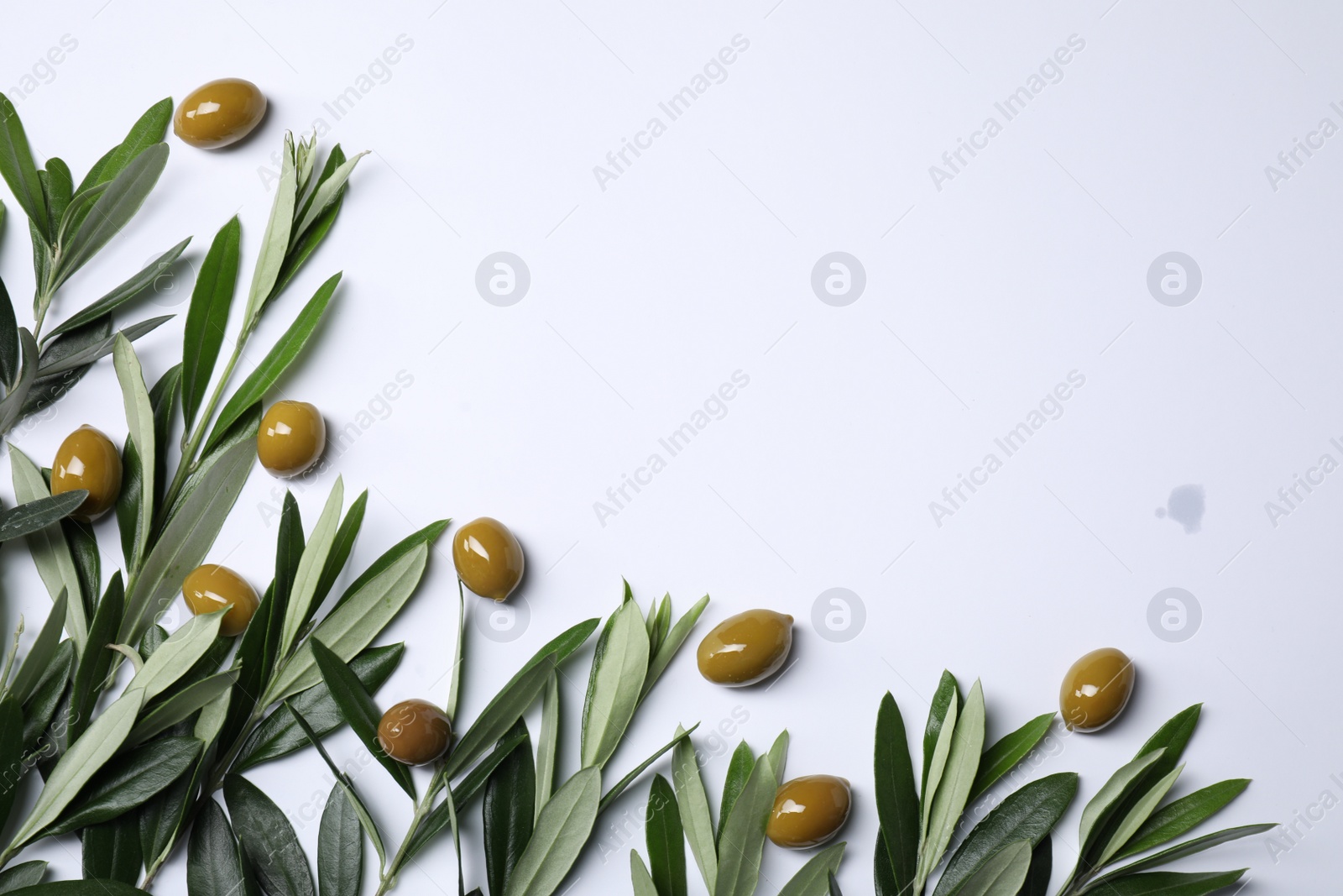 Photo of Twigs with olives and fresh green leaves on white background, flat lay. Space for text