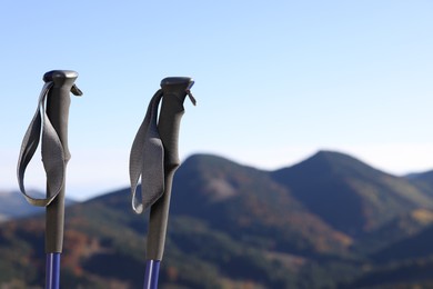 Photo of Pair of trekking poles in mountains on sunny day, closeup. Space for text