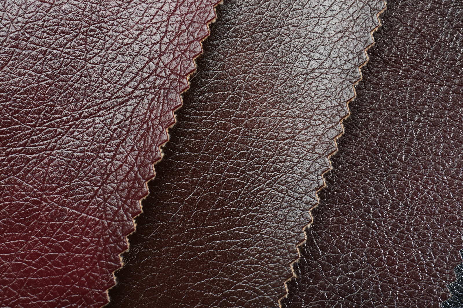 Photo of Texture of different leather as background, top view