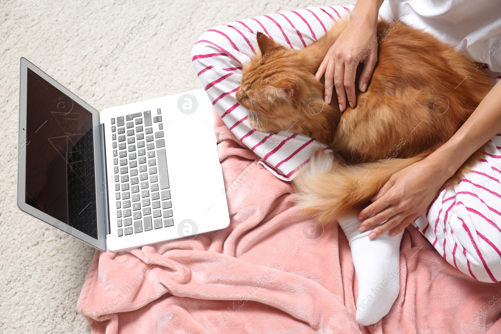 Photo of Woman with cute red cat and laptop on carpet at home, closeup view
