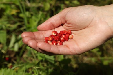 Photo of Woman with fresh wild strawberries outdoors, closeup