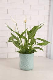 Photo of Beautiful spathiphyllum on light grey table near white brick wall. House decor