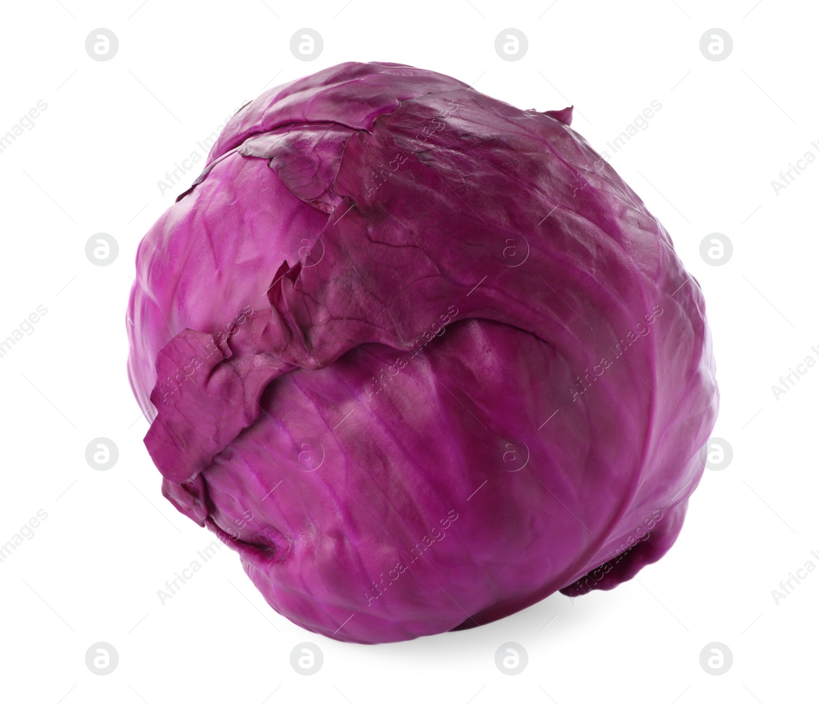 Photo of One fresh ripe red cabbage isolated on white