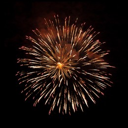 Image of Beautiful bright fireworks lighting up night sky