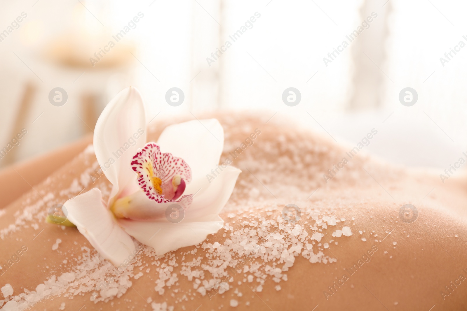 Photo of Young woman having body scrubbing procedure with sea salt in spa salon, closeup