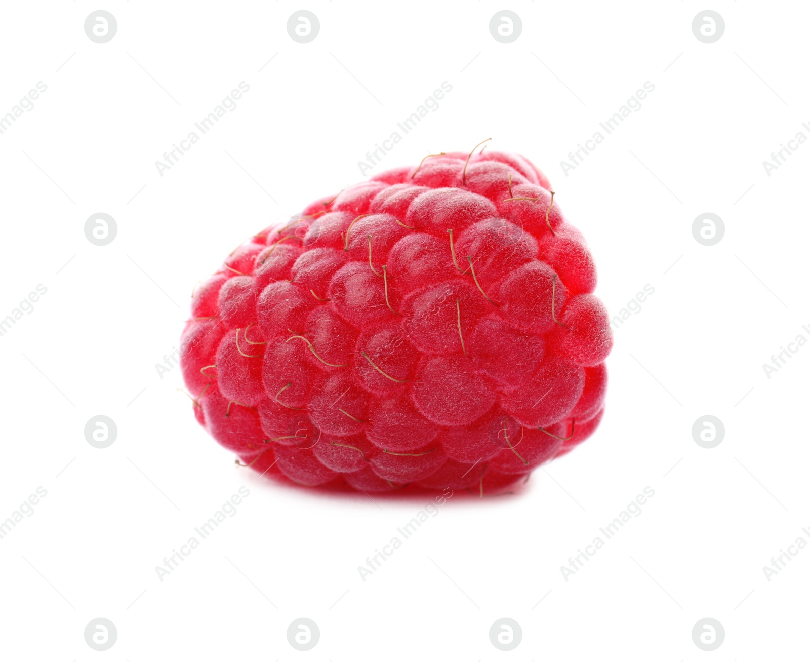 Photo of Delicious fresh ripe raspberry on white background