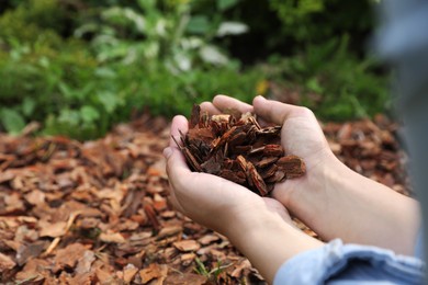 Photo of Woman holding bark chips in garden, closeup. Space for text