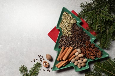 Photo of Different spices, nuts and fir branches on light gray textured table, flat lay. Space for text