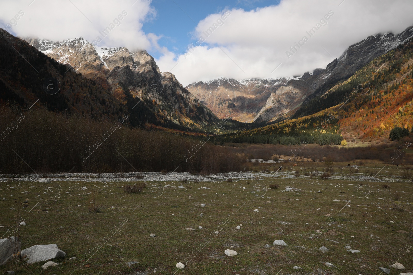 Photo of Picturesque view of mountain landscape with forest and meadow on autumn day