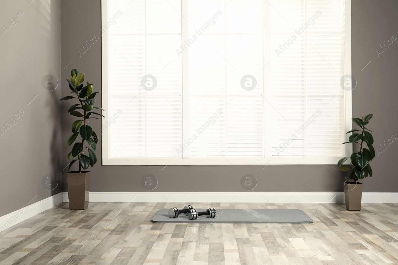 Photo of Exercise mat with dumbbells near houseplants in spacious room